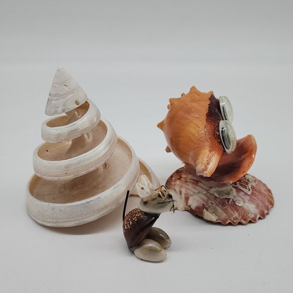 Unique Shell Figurine Set With Googly Eyes & Spiral Cone Decor Tectus Pyramis - Picture 7 of 7